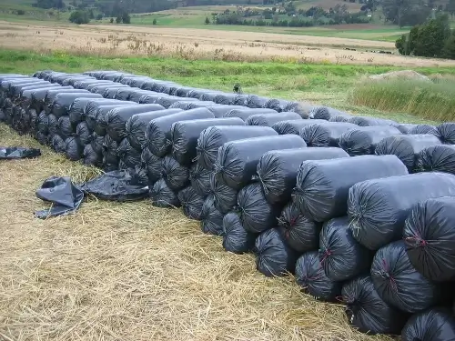 Conservación de forraje para ganadería con bolsas de silo de alta resistencia en Colombia.