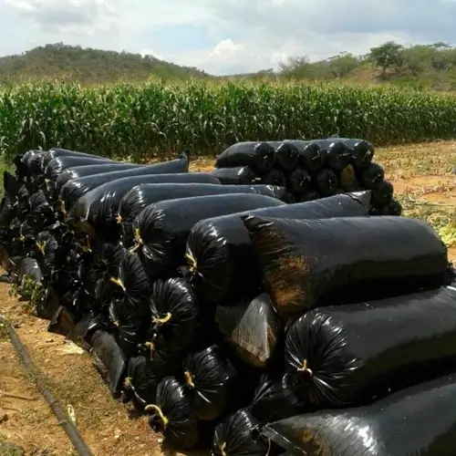 Bolsas de silo para maíz utilizadas en ensilaje agrícola y ganadero en Colombia.